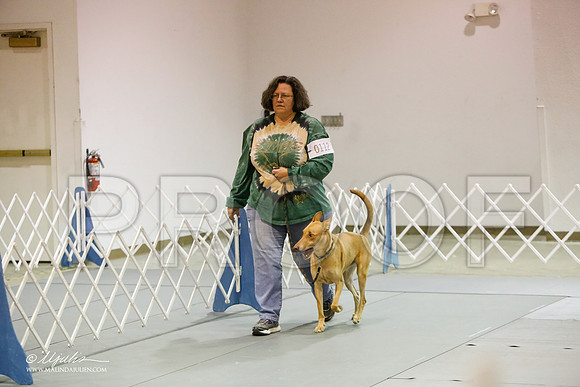 _JJ_1360-MesqApr2015-HR3