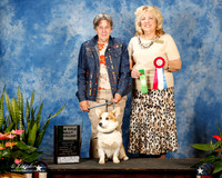 #121 Sun NT Rally Exc Bishea Kandee and Tammy Floyd And Sharon Wild DVM Judge David W Haddock