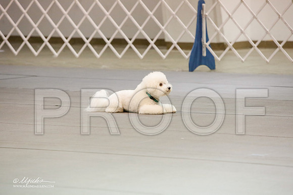 _JJ_0950-MesqApr2015-HR3