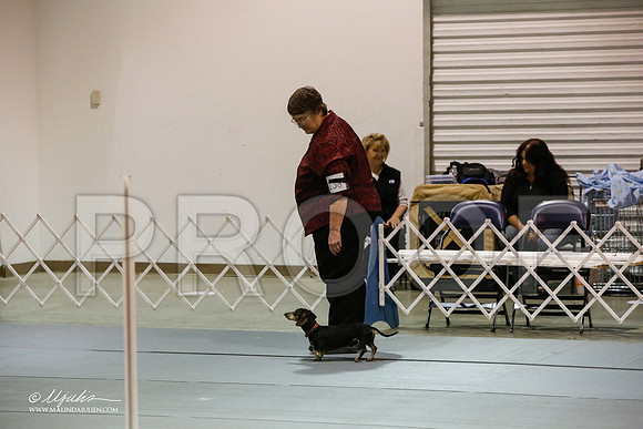 _JJ_1034-MesqApr2015-HR3