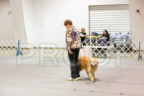 _JJ_0810-MesqApr2015-HR3