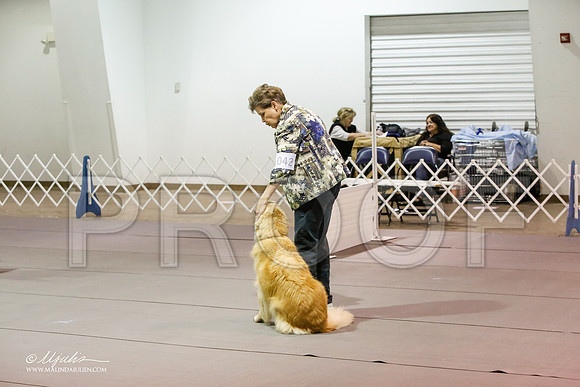 _JJ_0812-MesqApr2015-HR3
