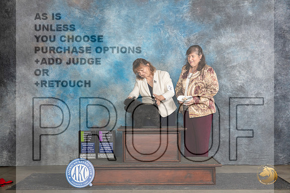 Affenpinscher #6 Sat OHRBIS Judge Polly Smith OHG1 Judge Beth __JP_5686_San Antonio_2024_HR3