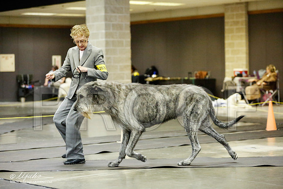 _RH_1393-BeltonJan2015IABCA-HR3