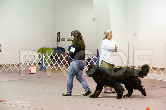 _JJ_0400-MesqApr2015-HR3