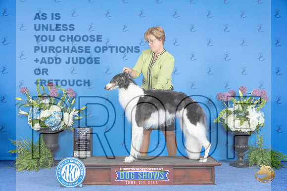 Borzoi #30 THUR WB BOW NC M Judge Dabbie Freeman__JP_8135_Houston_2024_HR3