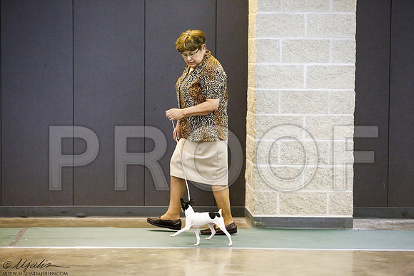 _J3L0269-BeltSep2014-HR