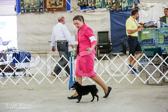 _RH_0471-AlamogordoOct2014-HR3