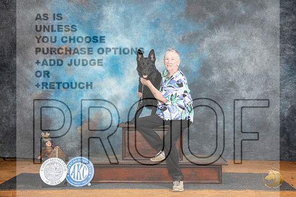German Shepherd Dog #24 OB__JP_7845_MARSHALL_2024_HR3