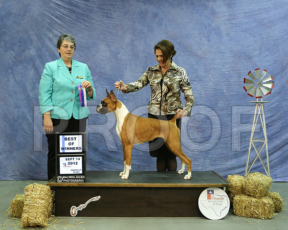 Boxer-6151 HR