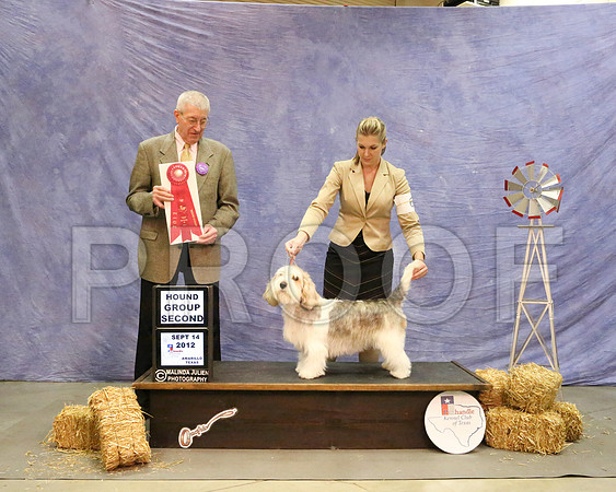 PBGV-6204 HR