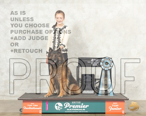 Belgian Tervuren #272 JrOb Judge Marguerite Plank__MJ_7492_Premier_2022_HR3