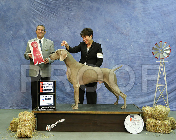 Weim-6175 HR