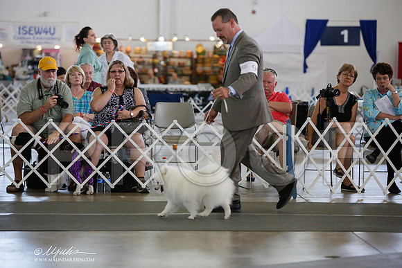 _JJ_2561-DallasJul2014-HR3