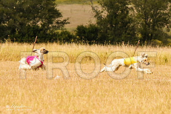 _MJ_5535-AfgBeltonOct2014-HR3