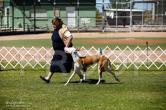 _JJ_7642-AlamogordoOct2014-HR3