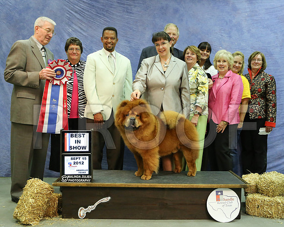 Chow-7436 HR