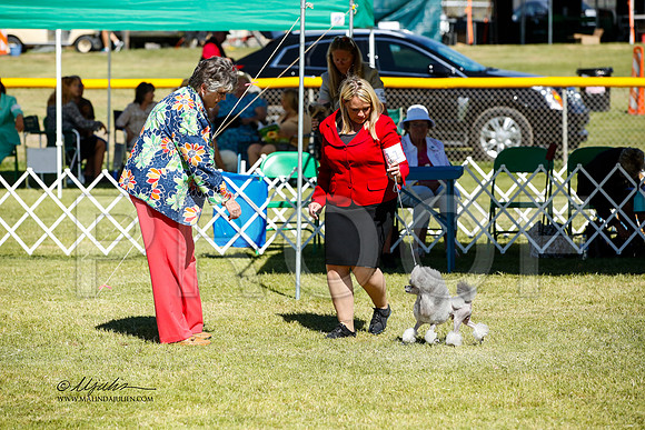 _JN_1161-AlamogordoOct2014-HR3