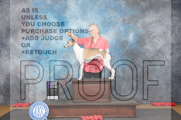 Whippet #11 SUN WD M Judge Richard Nance__JP_0798_Sulphur Springs_2024_HR3