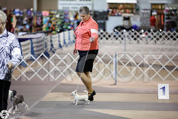 _JJ_4231-SanAntonioJul2014-HR