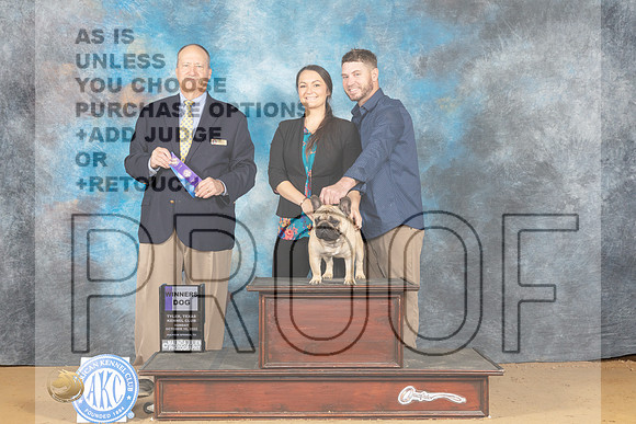 French Bulldog #11 Sun WD Judge Jay Richardson r-_MJ_0302e_TTKC2022-HR3