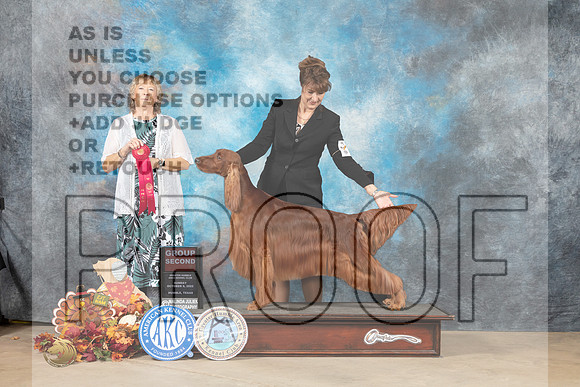 Irish Setter #8 Sat OHBIS Judge Denise Flaim-_MJ_7956_TTKC_2022-HR3