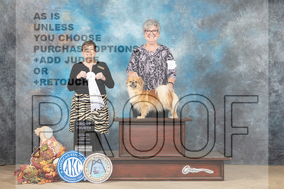 Tibetan Spaniel #6 Sun G4 Judge Cindy Meyer-_MJ_9361e_Humble_2022-HR3
