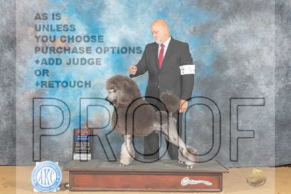 Poodle Std #5 Sn BOWBOWWD Judge Herner_MJ_0407_TTKC_2022_HR3
