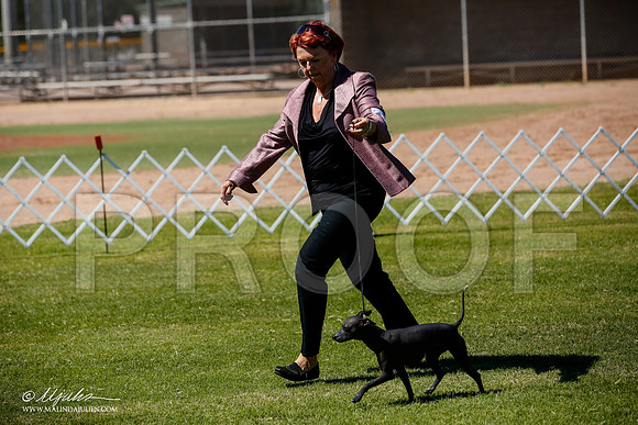 _JJ_8170-AlamogordoOct2014-HR3