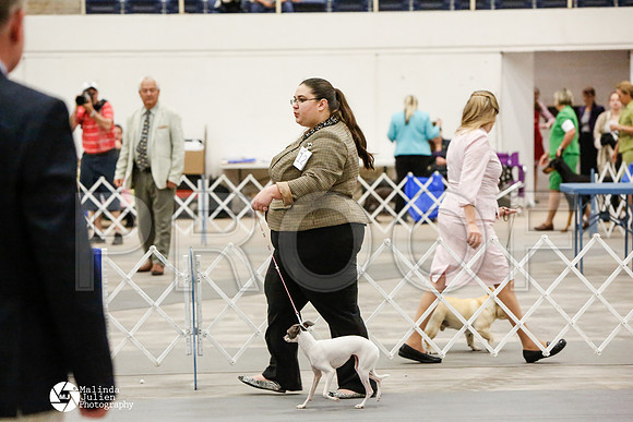 _CK_6052-AblnMay2014-web