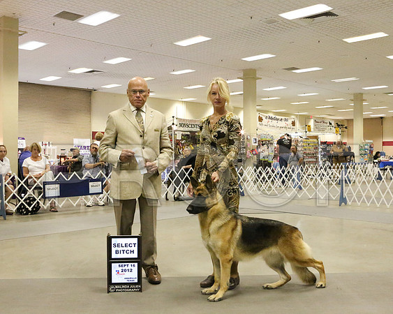 GSD-7673 HR