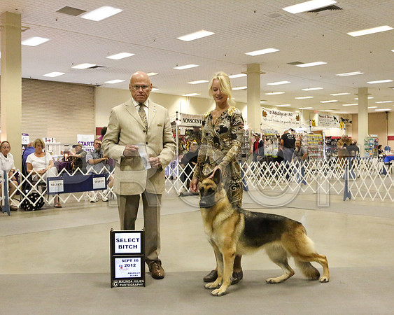 GSD-7684 HR