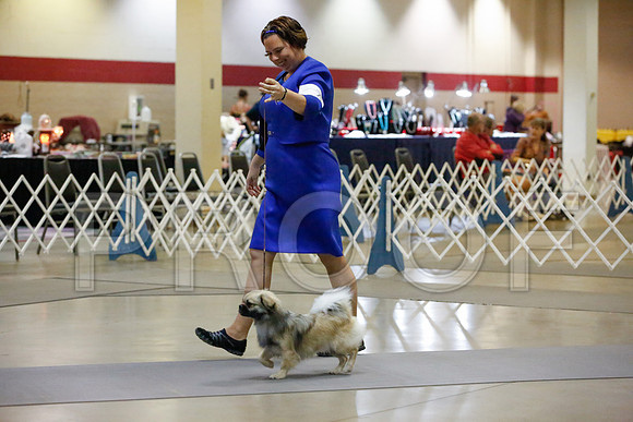_JJ_0097-AmarilloSept2014-HR3