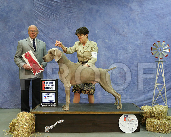 Weim-6763 HR