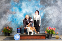 Bulldog #5 WDBOWBOS Fri Polly D Smith