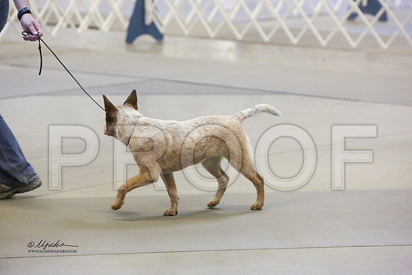 ACD-6711 HR