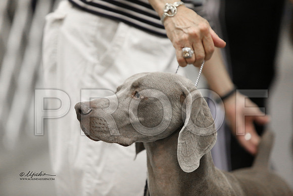 Weim-6641 HR