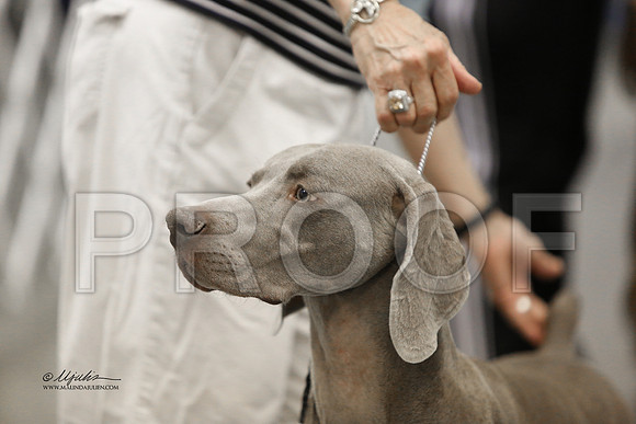 Weim-6640 HR