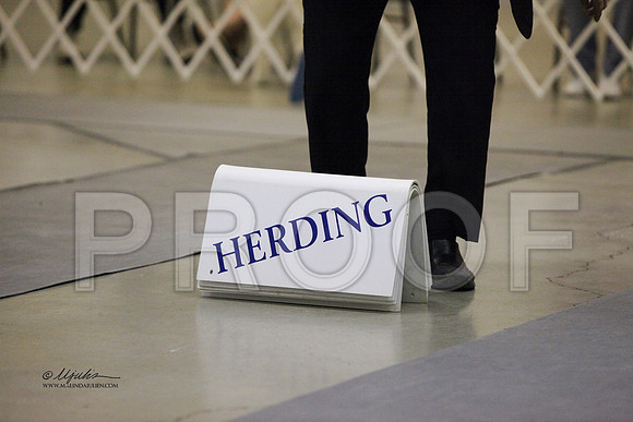 HerdingGrp-2265 HR