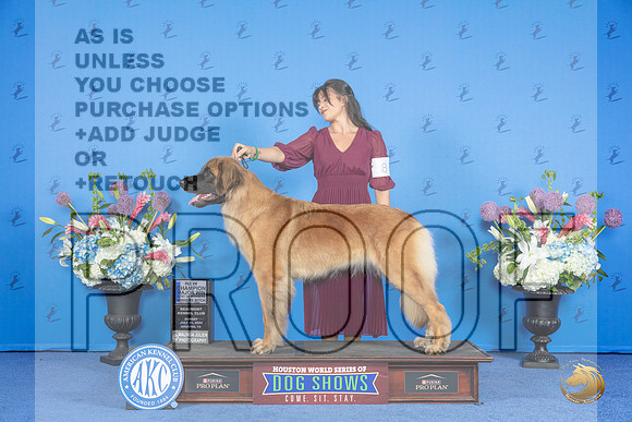 Leonberger #8 SUN WB BOW NC M Judge Ronald Freeman__JP_0026_Houston_2024_HR3