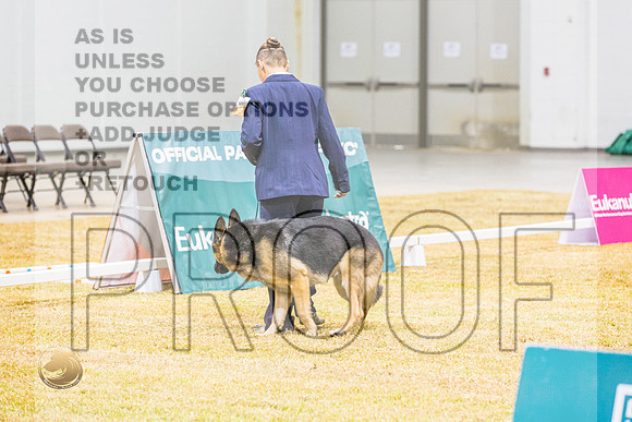 Beginner Novice #107 ThursJJL_4935_Shreveport_2022_HR3