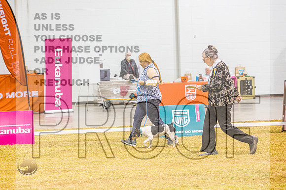 Beginner Novice #122 ThursJJL_5215_Shreveport_2022_HR3