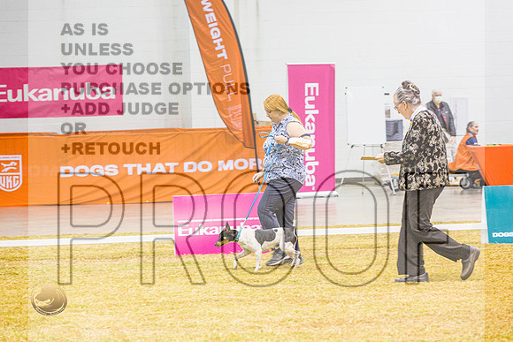 Beginner Novice #122 ThursJJL_5217_Shreveport_2022_HR3