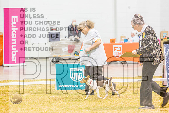 Beginner Novice #140 ThursJJL_5164_Shreveport_2022_HR3