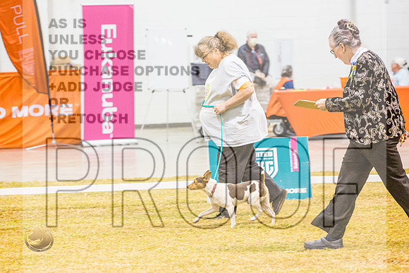 Beginner Novice #140 ThursJJL_5165_Shreveport_2022_HR3