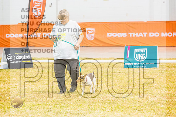 Beginner Novice #140 ThursJJL_5170_Shreveport_2022_HR3