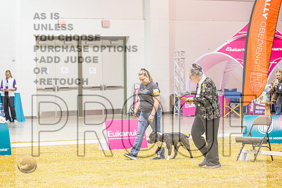 Beginner Novice #142 ThursJJL_5278_Shreveport_2022_HR3