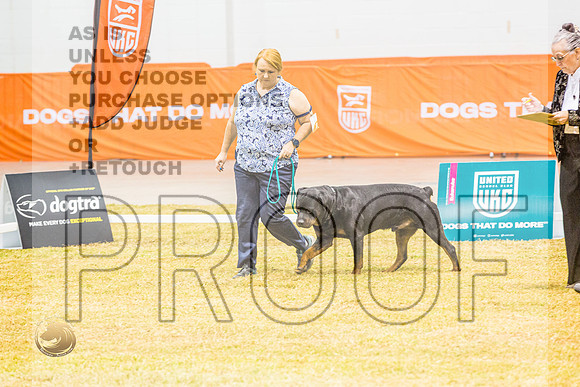 PreNovice #123 ThursJJL_4756_Shreveport_2022_HR3