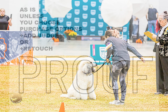 PreNovice #129 ThursJJL_4788_Shreveport_2022_HR3