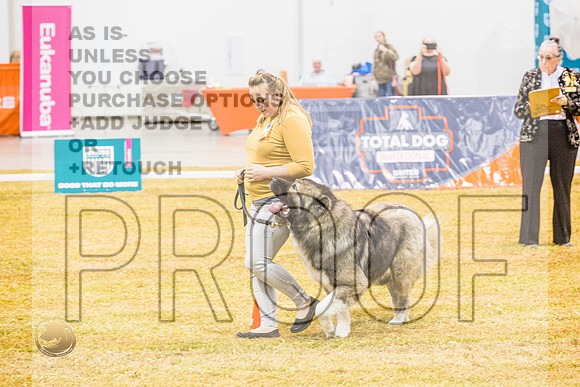 PreNovice #137 ThursJJL_4816_Shreveport_2022_HR3